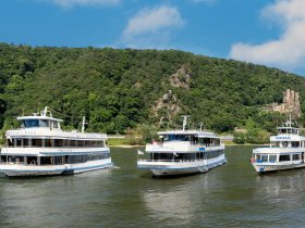 Vino Tage in Rheinhessen inkl. Weinverkostung