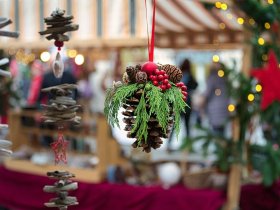 Vino Tage in Rheinhessen inkl. Weinverkostung