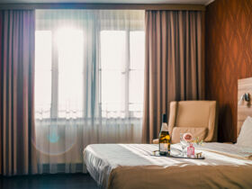 Familien Special in Dresden inkl. Zoo-Besuch