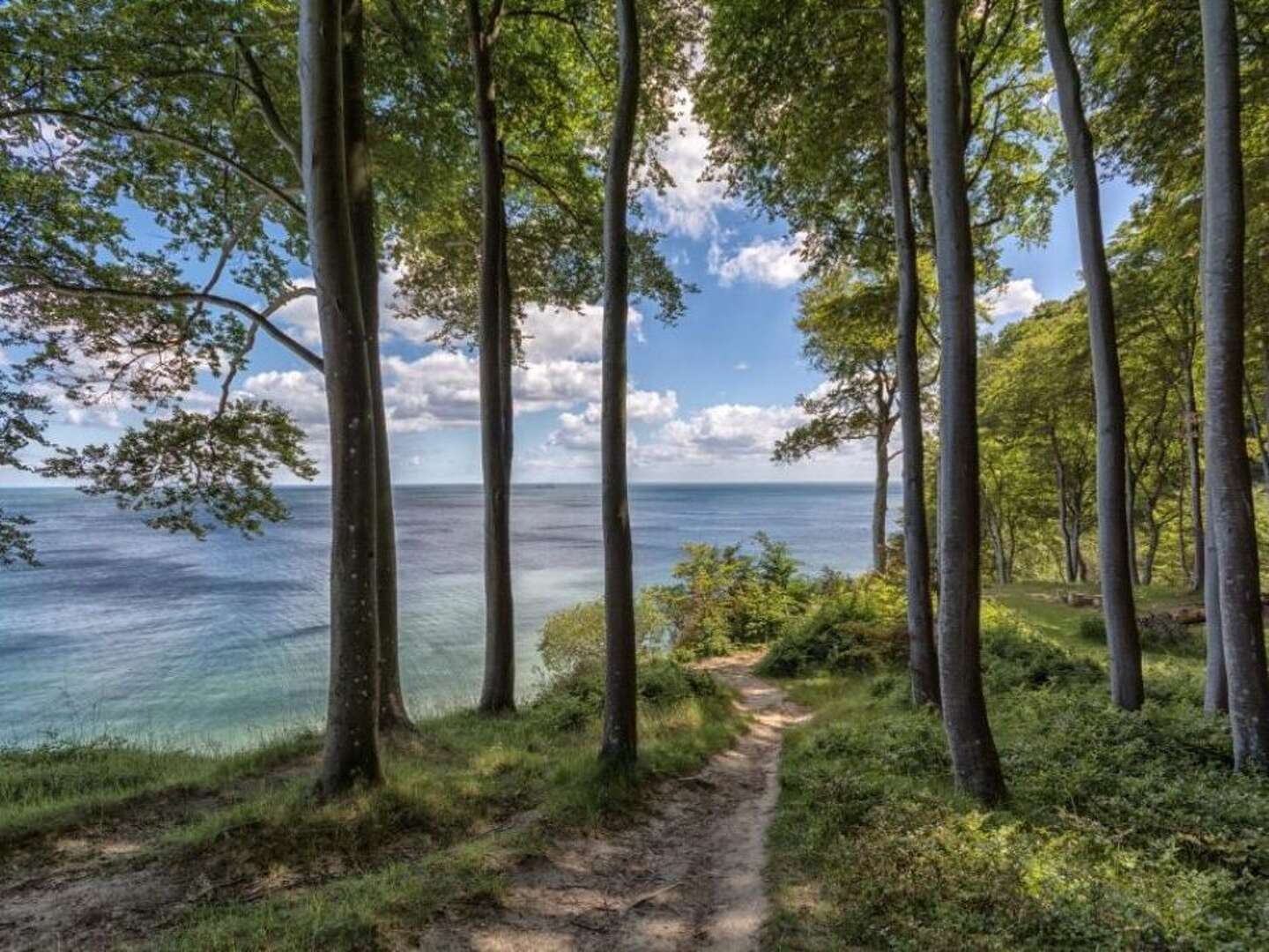 5 Tage Ostsee und Natur auf der Insel Rügen inkl. Halbpension