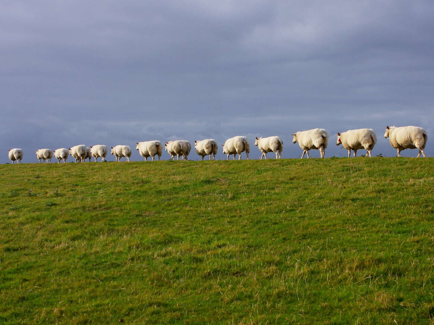 3 Tage Kurzurlaub an der Nordsee