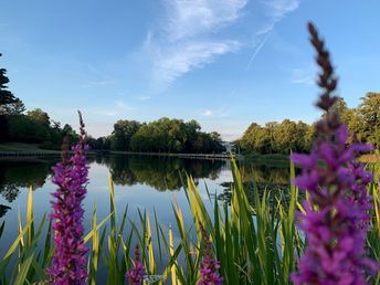 Wörlitzer Park erleben - 3 Tage Naturwellness im Venedig Anhalt's