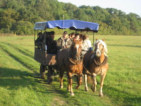 Liebe & Romantik- 3 Tage im Wörlitzer Gartenreich im Venedig Anhalt's