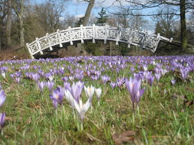 Liebe & Romantik- 3 Tage im Wörlitzer Gartenreich im Venedig Anhalt's