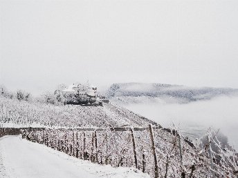 Frühlingserwachen | 3 Tage