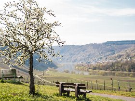 Moseltraumurlaub im Winter | 6 Tage