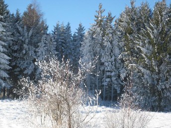 Winterurlaub an der Mosel 4 Tage inkl. 4-Gang Genuss-Menü