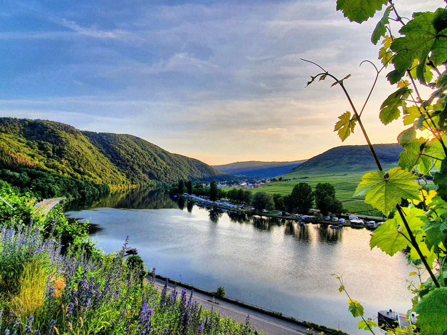 Die Mosel erleben 3 Tage inkl. 4-Gang Genuss-Menü 2024