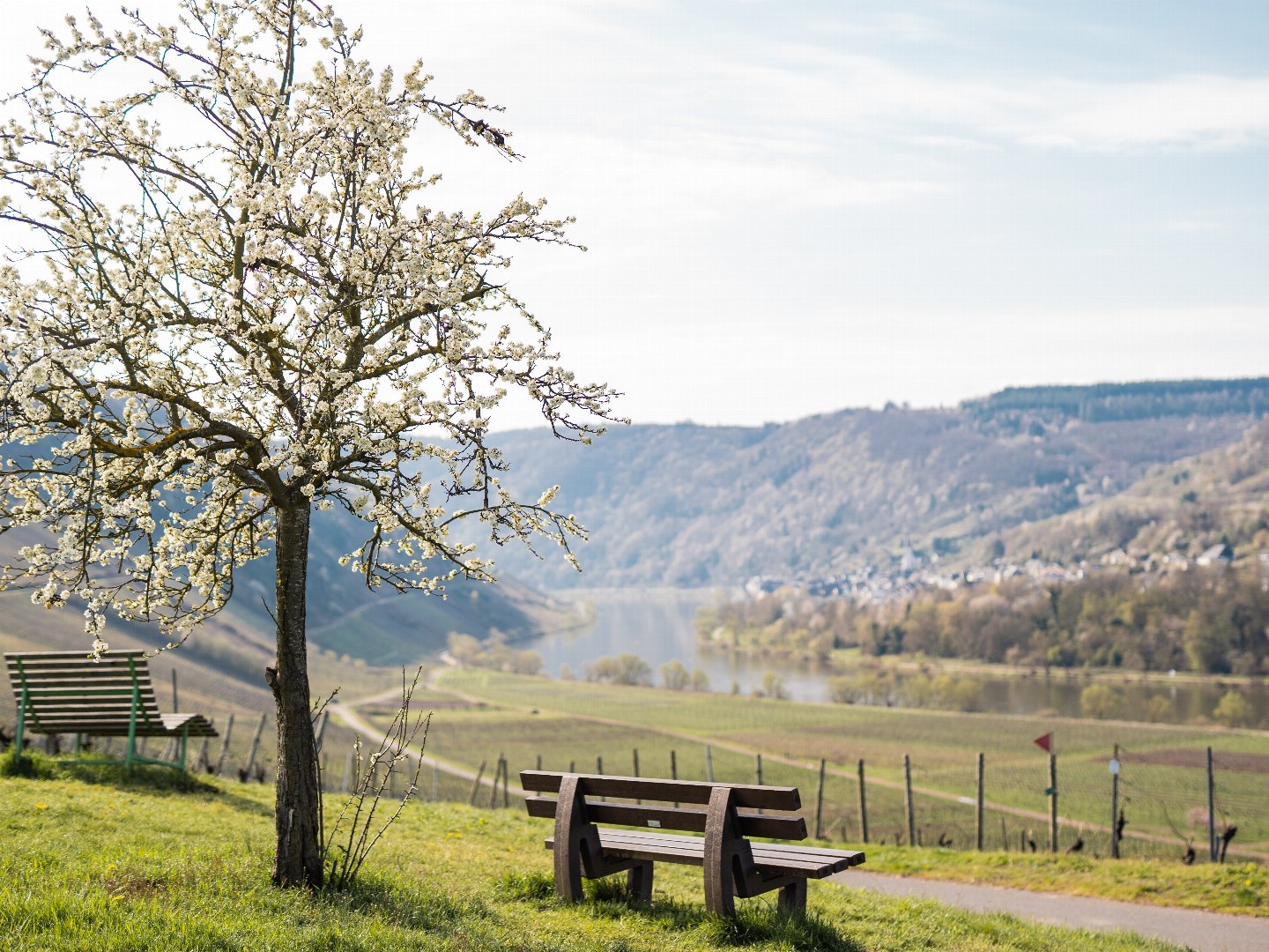 Die Mosel im Frühjahr entdecken | 4 Tage