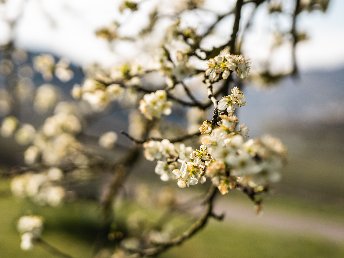 Frühlingserwachen | 3 Tage