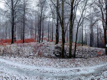 Herbstzeit in Winterberg- 4 Tage 