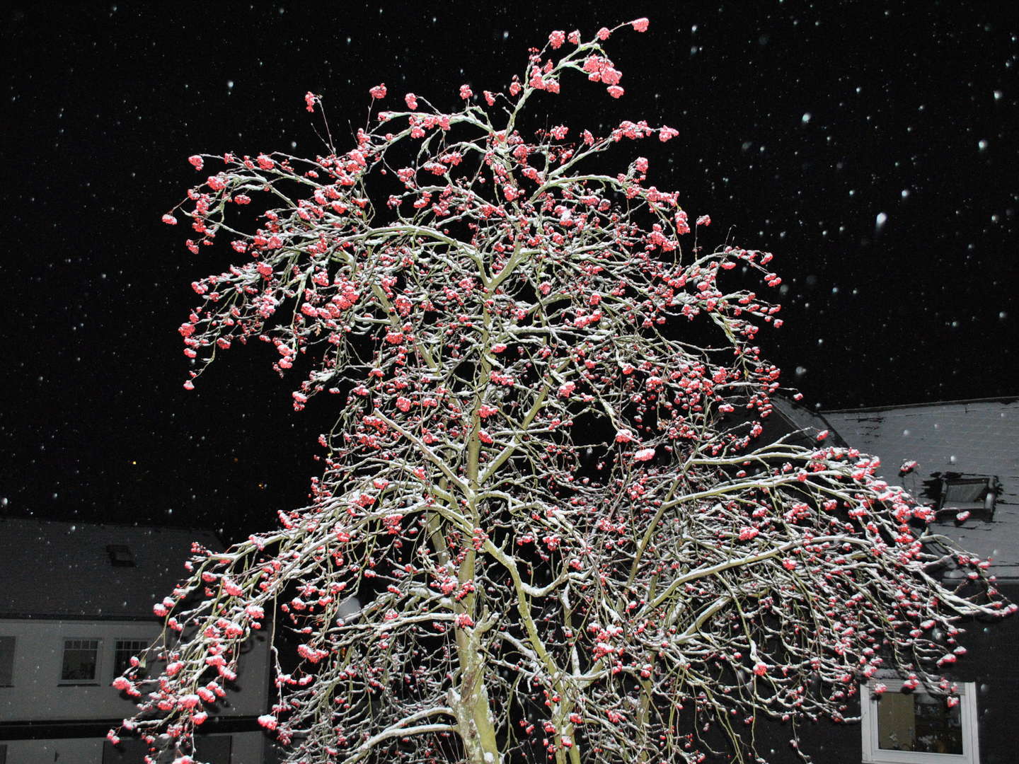 Kurze Auszeit  in Winterberg 