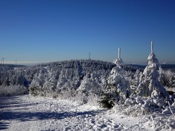 **** Winterspecial All inclusive - Wellnessurlaub - 8 Tage im Erzgebirge