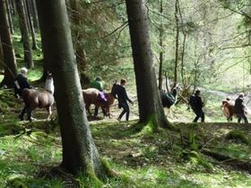 Kleine-Auszeit - 4 Tage Sauerland
