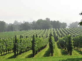 «Entschleunigung» - Bodensee inkl. Private Sauna und Massage