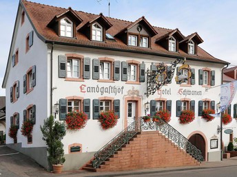 Kleine Wellnesspause am Rhein- inkl. Balinea Therme