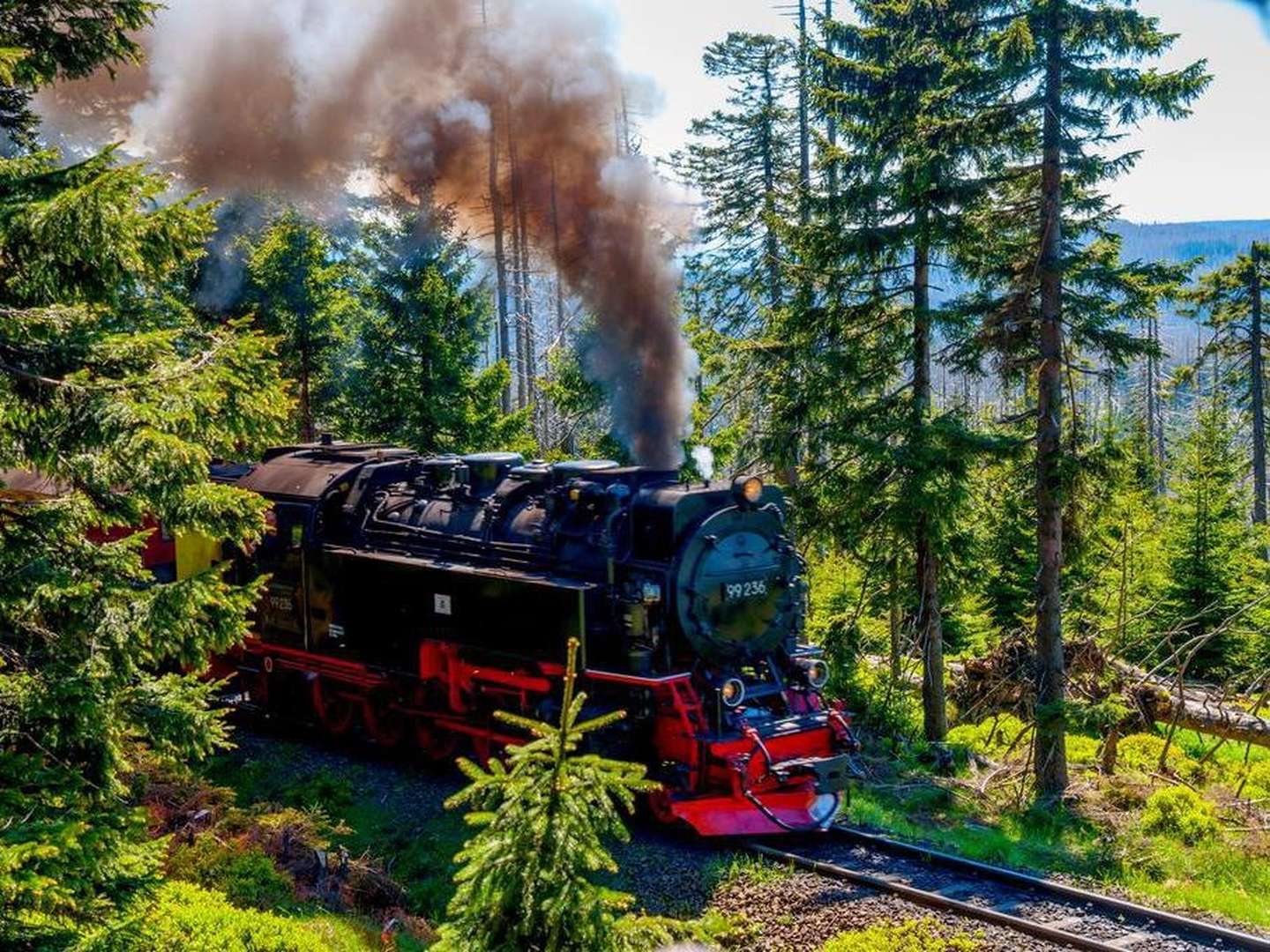 4 Tage Kurzurlaub - Mit der Dampflok auf den märchenhaften Brocken