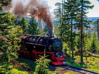 7 Tage Kurzurlaub - Mit der Dampflok auf den märchenhaften Brocken  