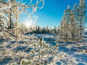 Weihnachtszauber in der Vulkaneifel 3 Nächte 24.-27.12.25