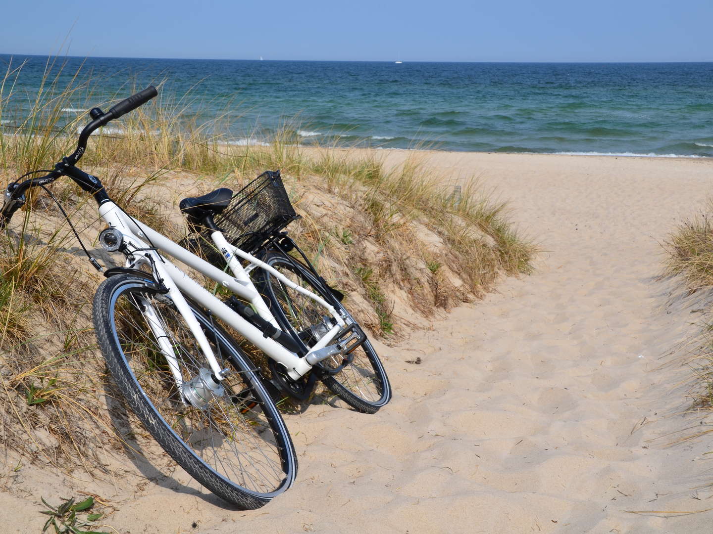 Luxus für Körper & Seele auf Rügen