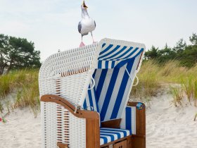 Magische Momente zum Jahreswechsel mit Gala-Buffet, Livemusik & Tanz