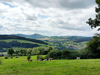 Unser Jährliches Sommer Highlight: PARK KULINARY