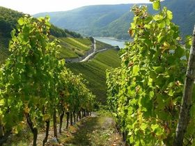Dinner im märchenhaften Schloss Lieser an der Mosel | 4 Tage