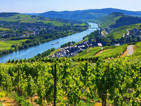 Dinner im märchenhaften Schloss Lieser an der Mosel | 4 Tage