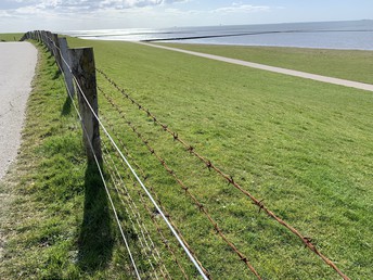 Sanft - Romantisch an der Nordseeküste