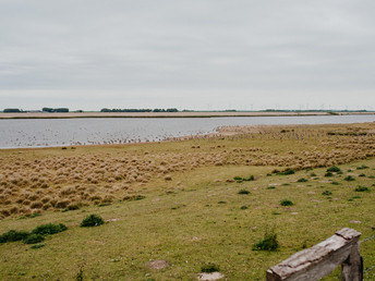 Bewegt - die Nordseeküste erkunden