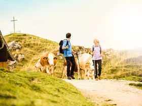 Erlebnisurlaub am Kitzbüheler Horn | 4 Nächte