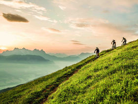 Erlebnisurlaub am Kitzbüheler Horn | 4 Nächte