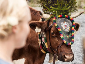 Frühbucherdeal im wunderschönen Maria Alm inkl. Hochkönigcard | 7 Nächte