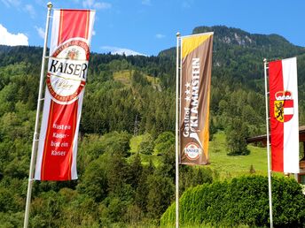 Bergpanorama im Gasteinertal inkl. Abendessen | 1 Nacht  