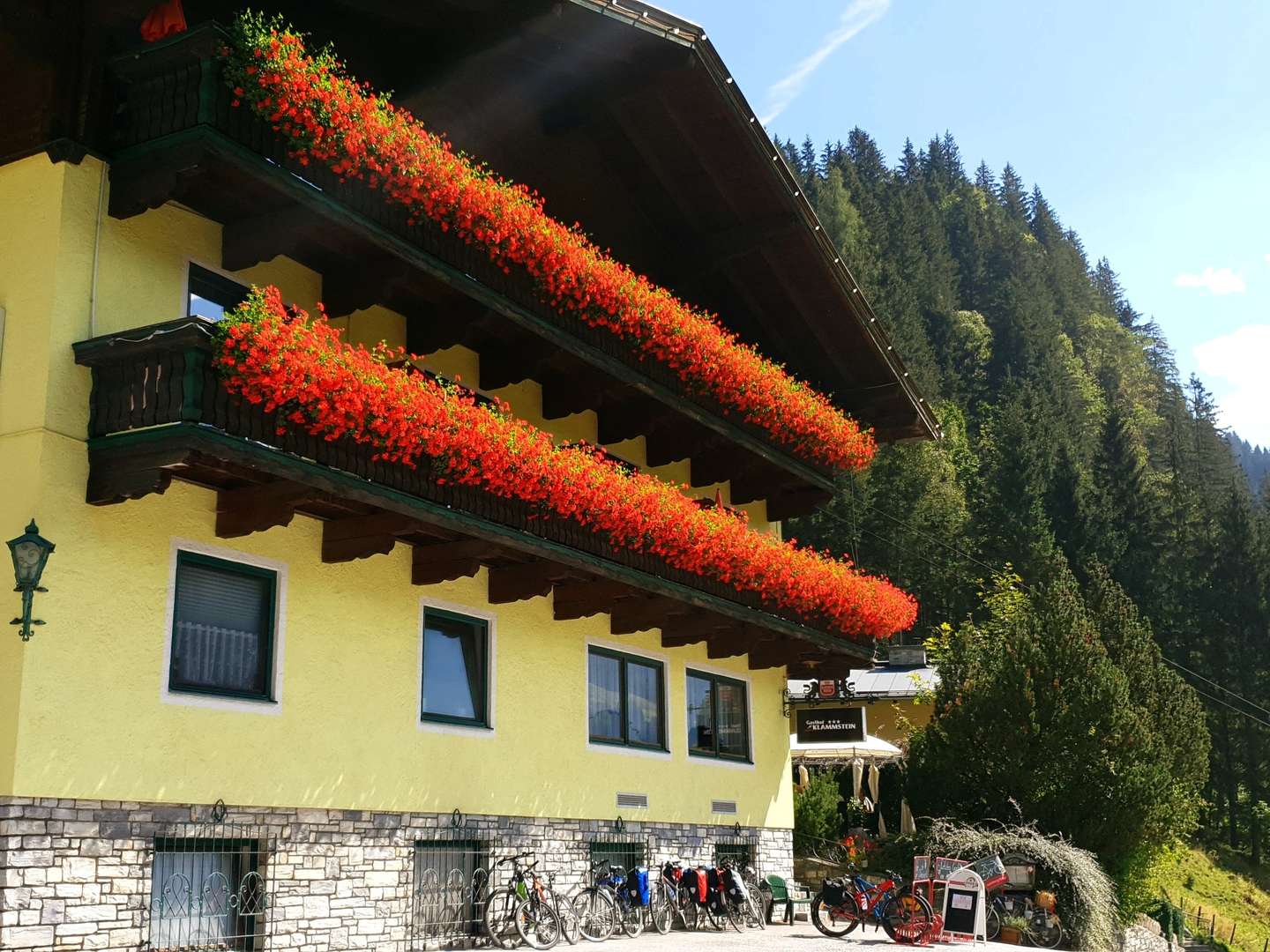 Heilig Abend mit Weihnachtsbaum in den Gasteiner Bergen | 6 Nächte 