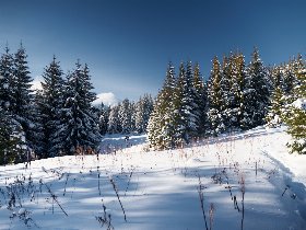 Winterurlaub inmitten der Berge im Gasteinertal | 4 Nächte 