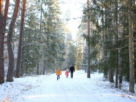 Winterurlaub inmitten der Berge im Gasteinertal | 6 Nächte 