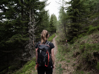 Wanderurlaub im Großarltal im Salzburger Land | 3 Nächte 