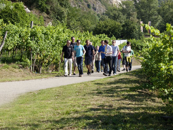 Weingenuss & mehr in der Wachau inkl. 7-Gang-Degustationsmenü | 3 Nächte 