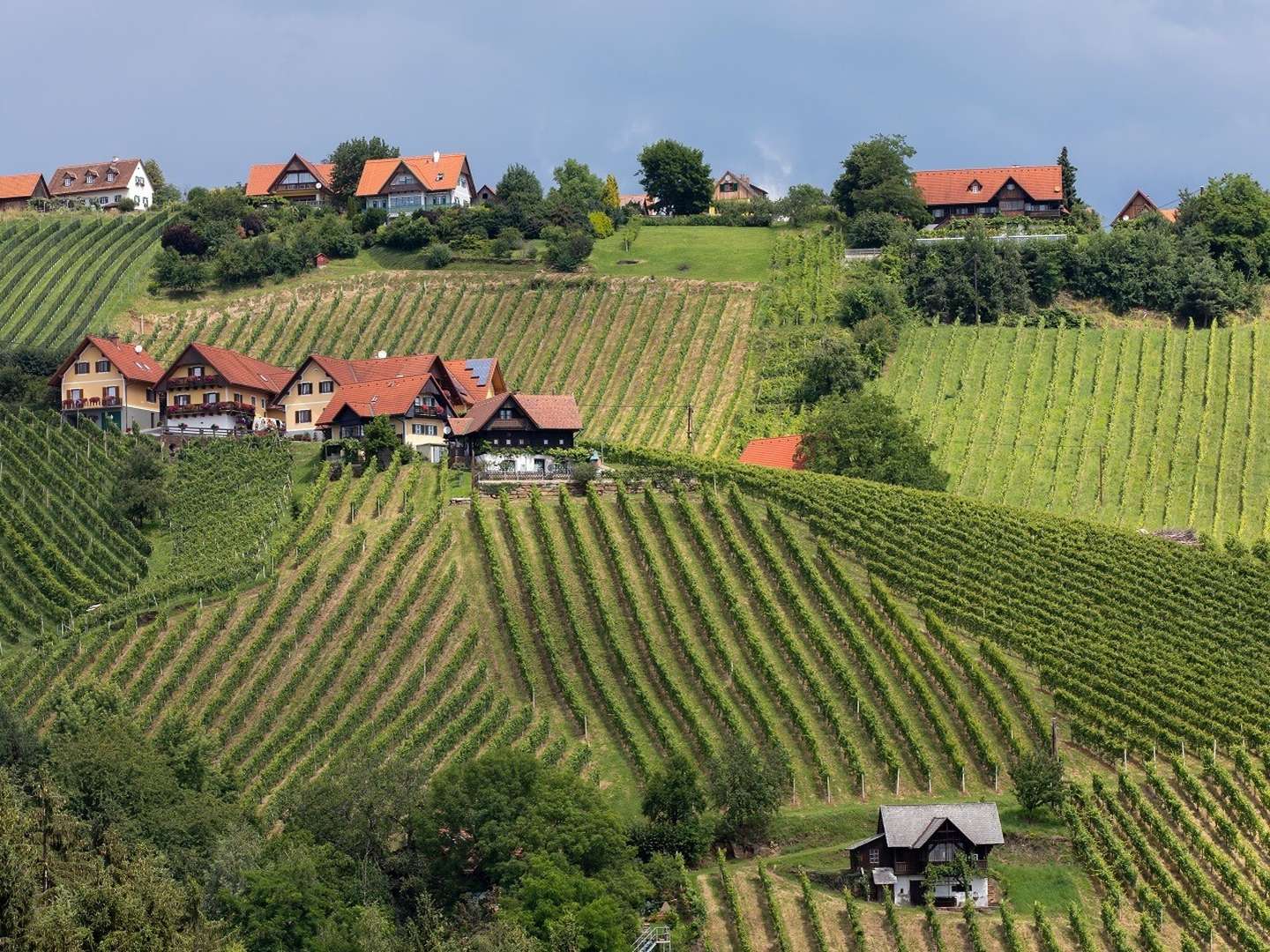  Kulinarische Auszeit in steirischen Weinbergen | 1 Nacht