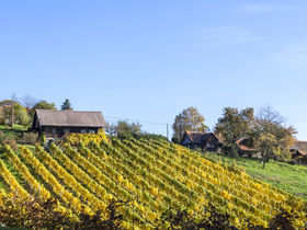 Silvester im Schilcherland 2 Nächte