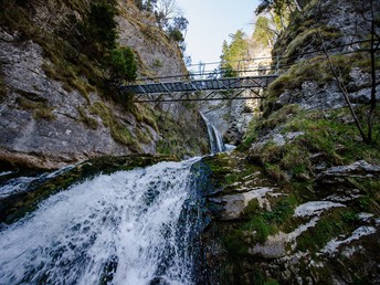 Auszeit in der Wander-Radregion rund um den schönen Ötscher inkl. Kartausenführung