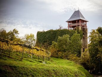 Familienurlaub in der Steiermark mit großen Erlebnisspielplatz | 2 Nächte