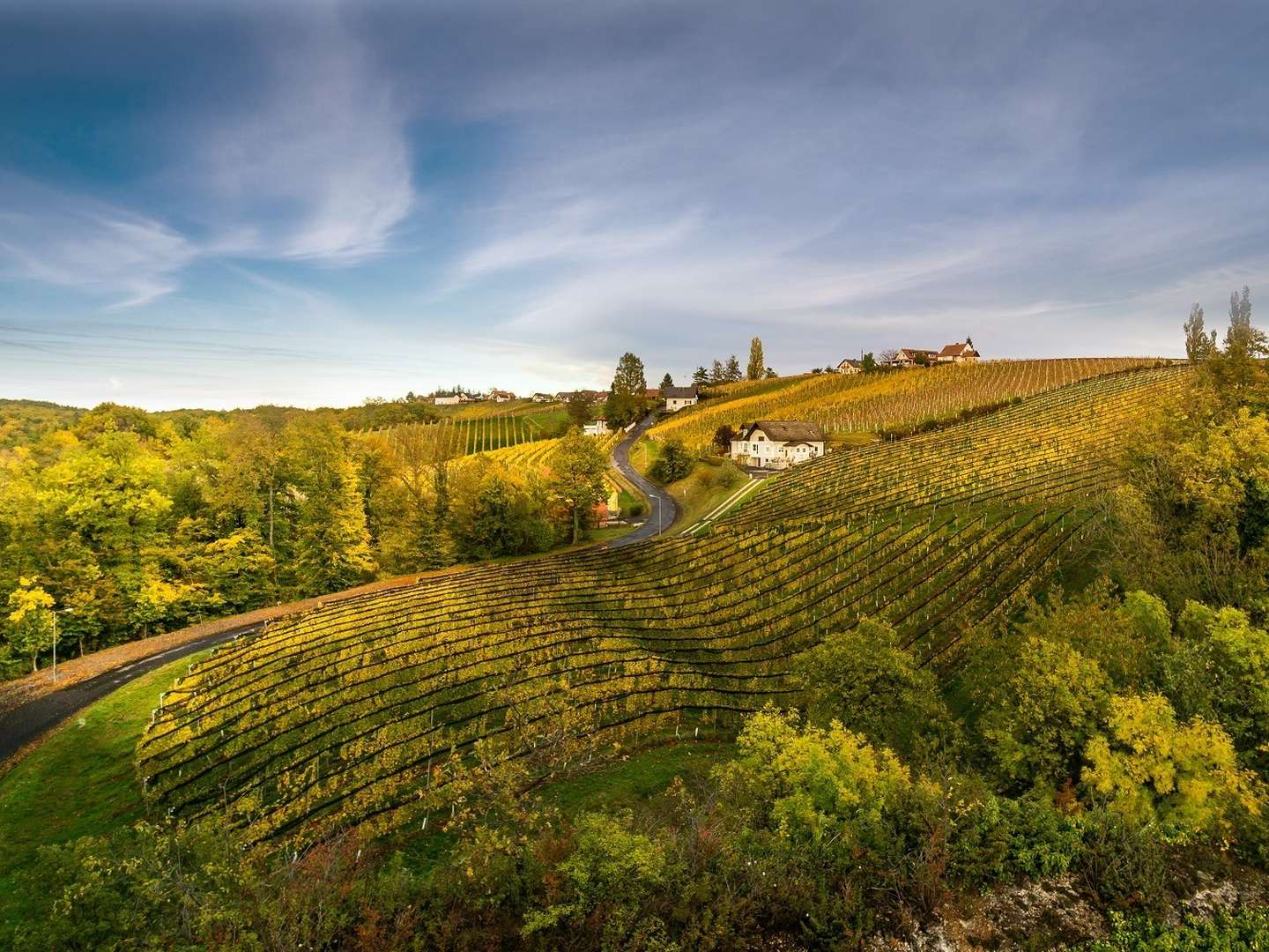 Buschenschank Radln im Thermenland Steiermark inkl. Buschenschank-Jause | 5 Nächte 