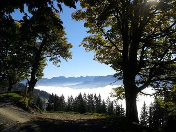 Auszeit in den Kitzbüheler Alpen inkl. Halbpension | 2 Nächte