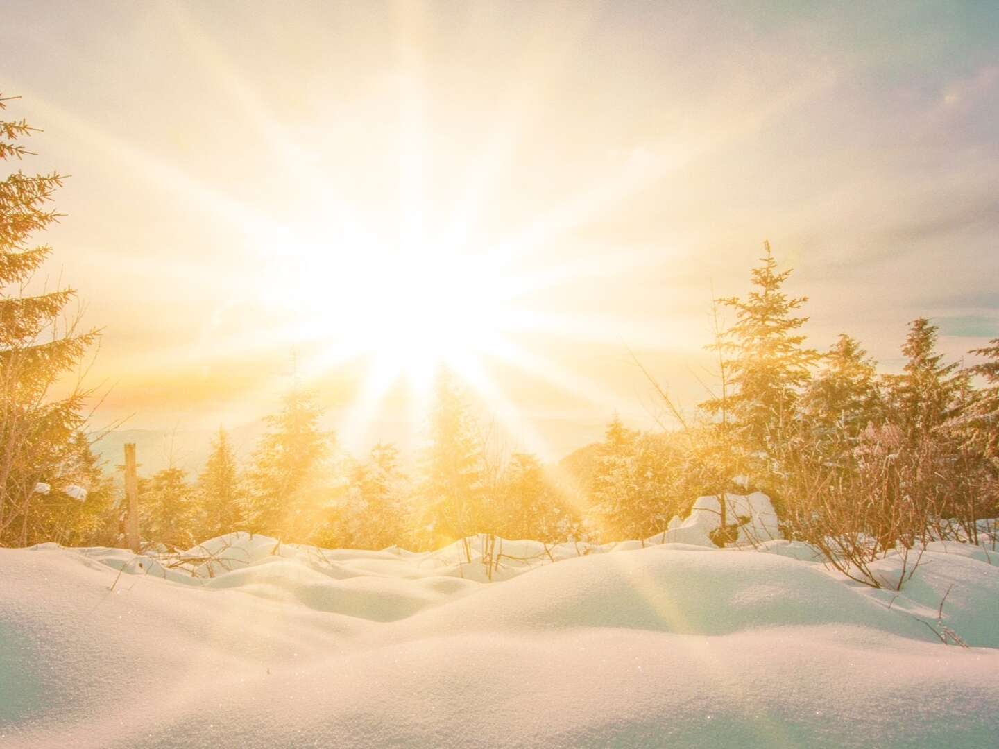 Winter in den Kitzbüheler Alpen mit Halbpension | 4 Nächte