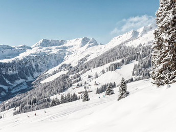 Schneegekröne Pistengaudi