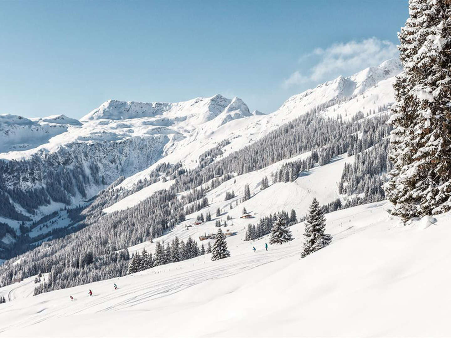  7=6 Winter trifft Frühling - März Skivergnügen in Saalbach Hinterglemm integriert in A421390