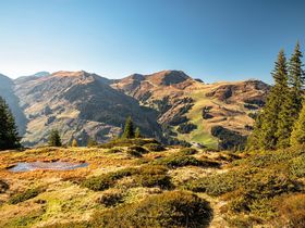 Tannendurft & Lichterglanz: Weihnachten in den Salzburger Bergen inkl. Galadinner | 7 Nächte