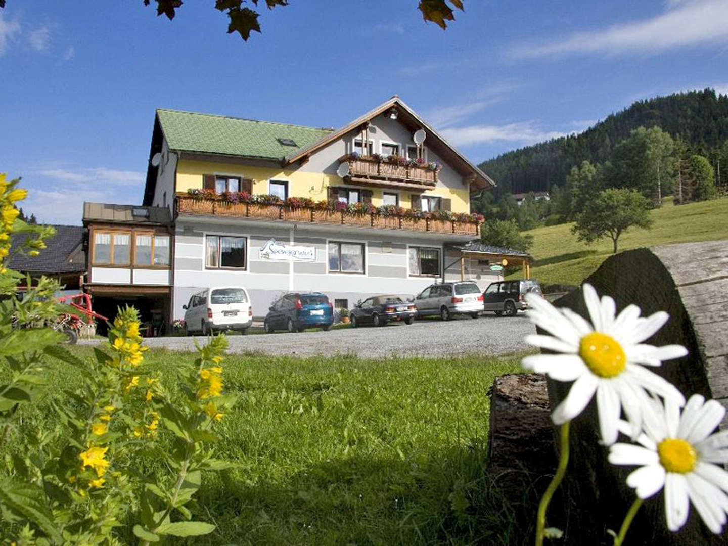 Erholung auf der Alm - Heimat der weißen Pferde 